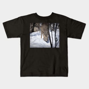 Grazing white-tailed deer. Kids T-Shirt